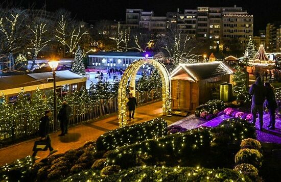 Winter in het park