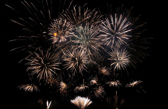 Vuurwerk op Nieuwjaarsdag in Westende