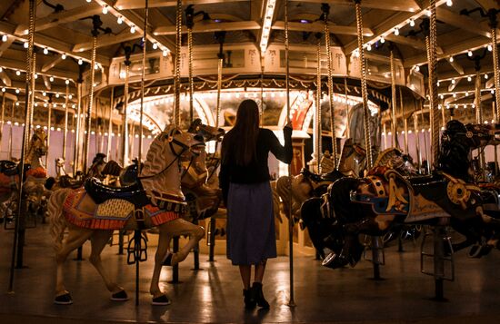 Winter Carousel