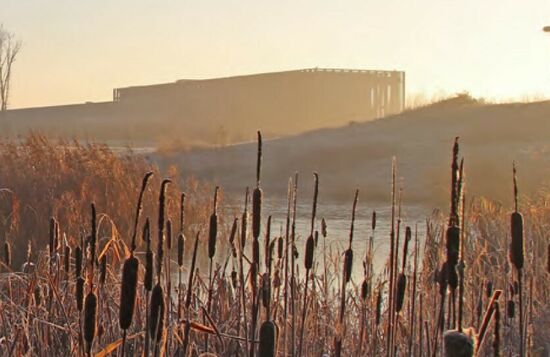 Winter in het Zwin